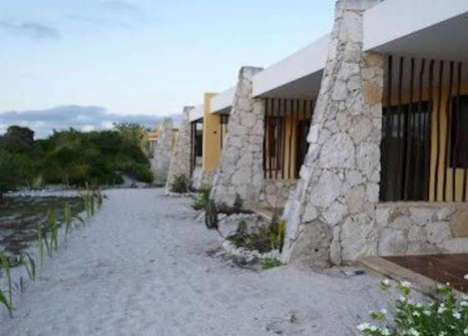 Beachfront Apartment With Swimming Pool. One Bedroom Celestun Exteriér fotografie