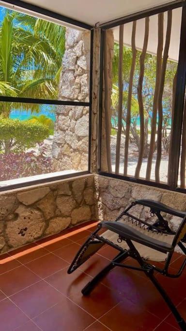 Beachfront Apartment With Swimming Pool. One Bedroom Celestun Exteriér fotografie