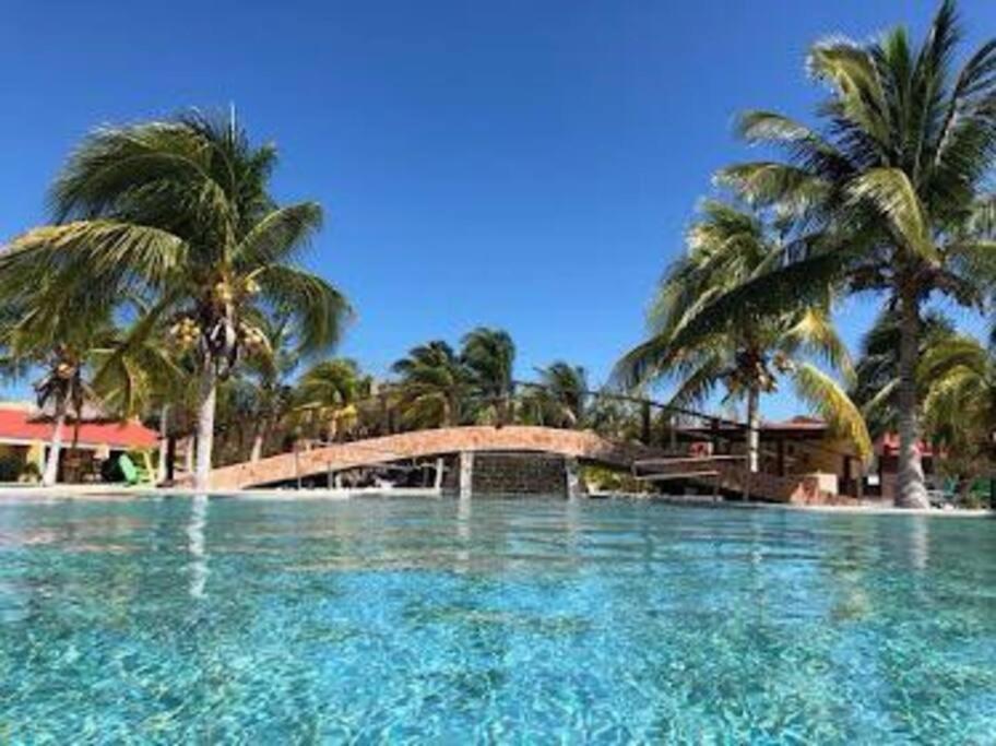 Beachfront Apartment With Swimming Pool. One Bedroom Celestun Exteriér fotografie